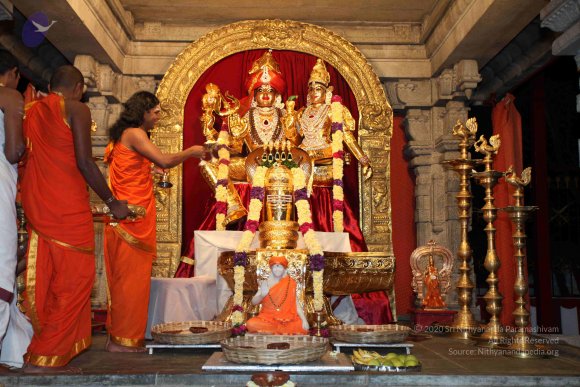 20101121_Photo_1026_IMG_9830_CMP_WM