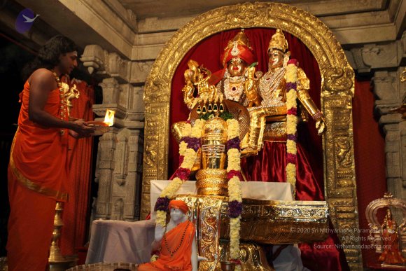 20101121_Photo_1029_IMG_9865_CMP_WM