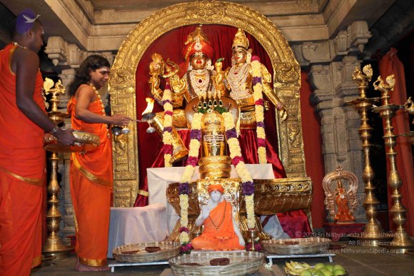 20101121_Photo_1031_IMG_9843_CMP_WM