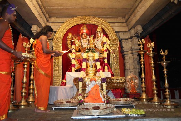 20101121_Photo_1032_IMG_9874_CMP_WM