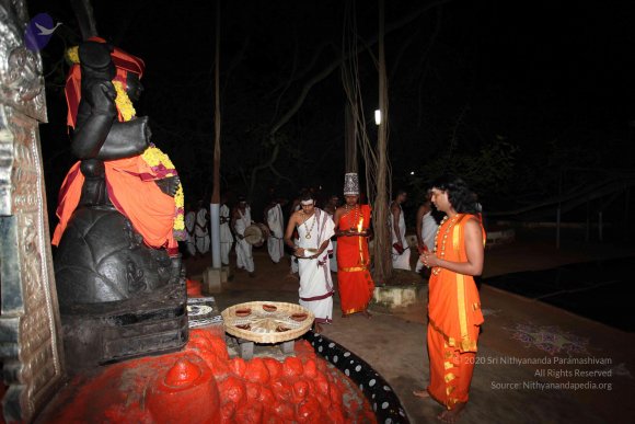 20101121_Photo_1034_IMG_9960_CMP_WM