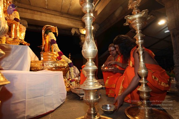 20101121_Photo_1038_IMG_9902_CMP_WM