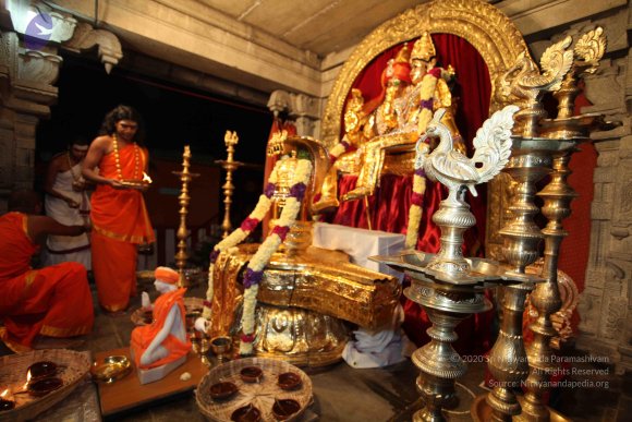 20101121_Photo_1039_IMG_9897_CMP_WM