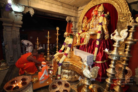 20101121_Photo_1045_IMG_9890_CMP_WM