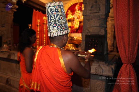 20101121_Photo_1046_IMG_9950_CMP_WM