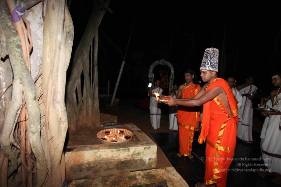 20101121_Photo_1055_IMG_9989_CMP_WM