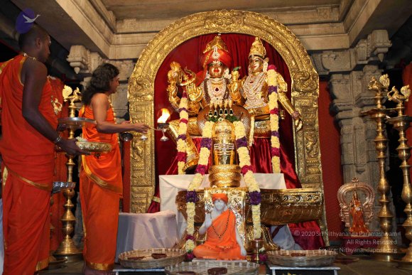 20101121_Photo_1056_IMG_9837_CMP_WM