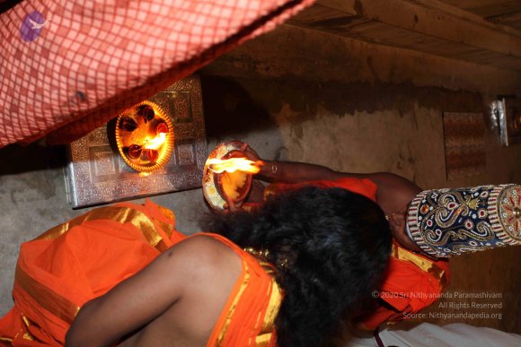 20101121_Photo_1061_IMG_9941_CMP_WM