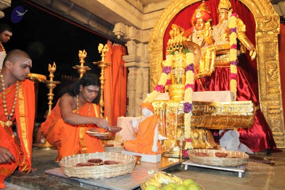 20101121_Photo_1062_IMG_9881_CMP_WM