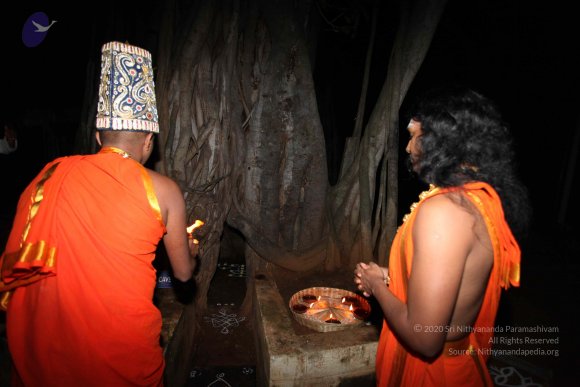 20101121_Photo_1063_IMG_9995_CMP_WM