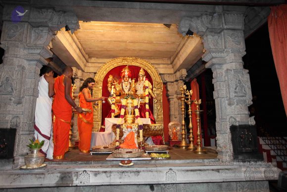 20101121_Photo_1068_IMG_9832_CMP_WM