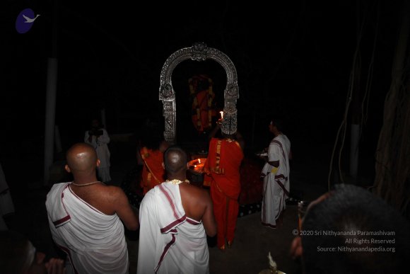 20101121_Photo_1070_IMG_9973_CMP_WM