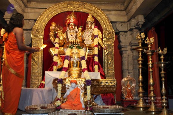 20101121_Photo_1072_IMG_9867_CMP_WM