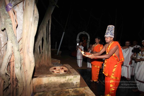 20101121_Photo_1076_IMG_9990_CMP_WM