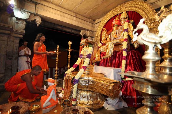 20101121_Photo_1078_IMG_9895_CMP_WM