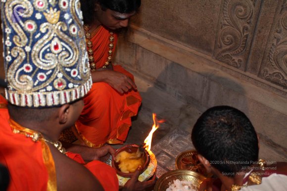 20101121_Photo_1098_IMG_9947_CMP_WM