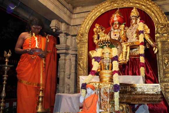 20101121_Photo_1099_IMG_9864_CMP_WM