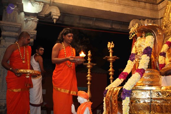 20101121_Photo_1102_IMG_9875_CMP_WM