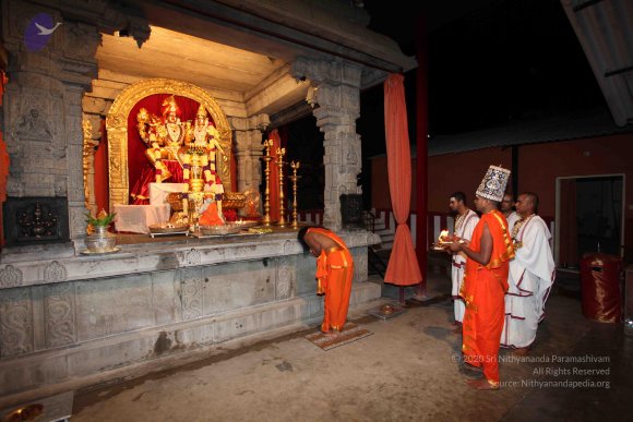 20101121_Photo_1107_IMG_9934_CMP_WM