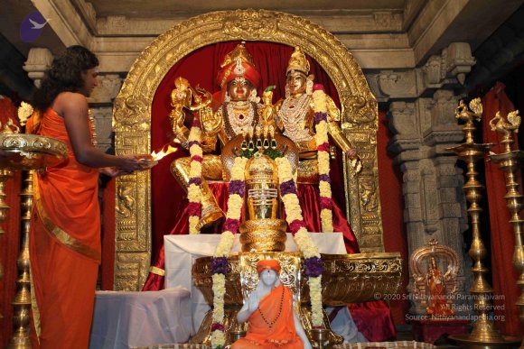 20101121_Photo_1109_IMG_9869_CMP_WM