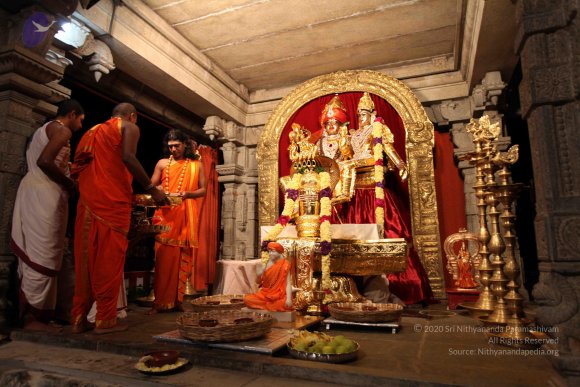 20101121_Photo_1119_IMG_9812_CMP_WM