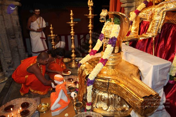 20101121_Photo_1122_IMG_9893_CMP_WM