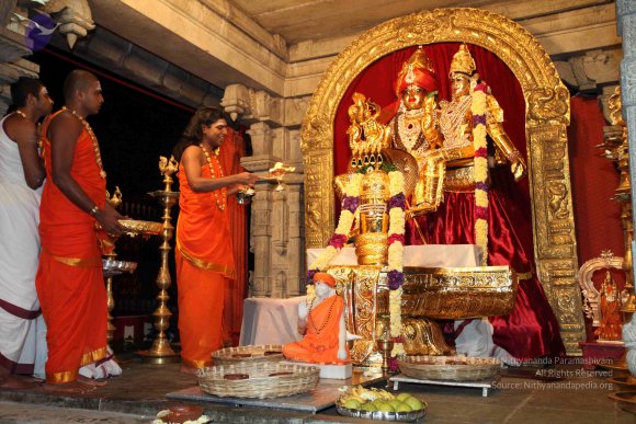 20101121_Photo_1125_IMG_9828_CMP_WM