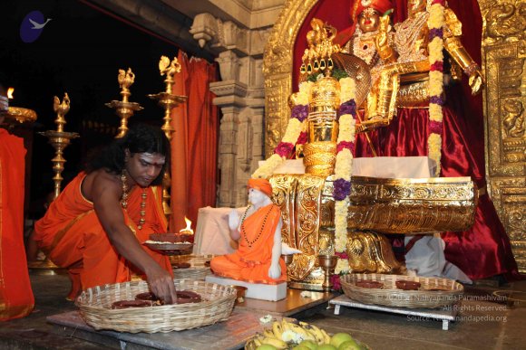 20101121_Photo_1127_IMG_9882_CMP_WM