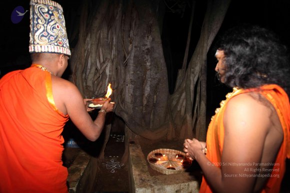 20101121_Photo_1128_IMG_9996_CMP_WM