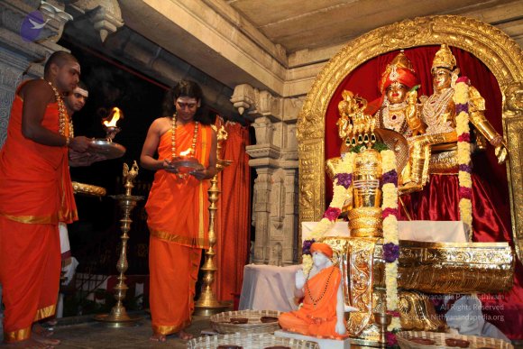 20101121_Photo_1133_IMG_9861_CMP_WM