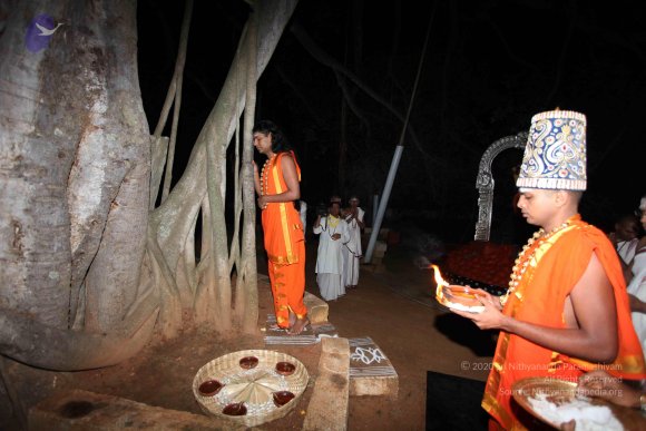 20101121_Photo_1135_IMG_9975_CMP_WM