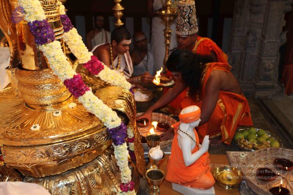 20101121_Photo_1137_IMG_9927_CMP_WM