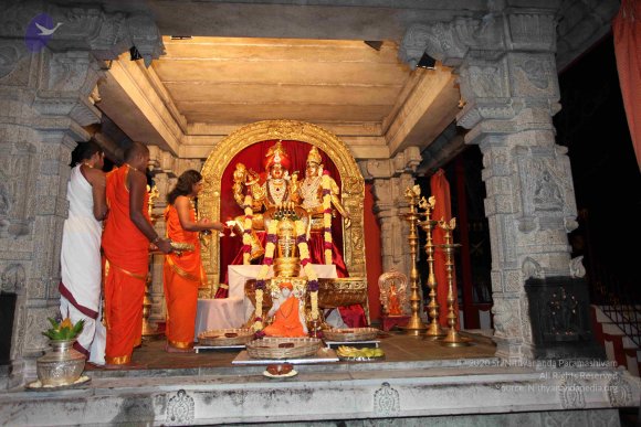 20101121_Photo_1139_IMG_9833_CMP_WM