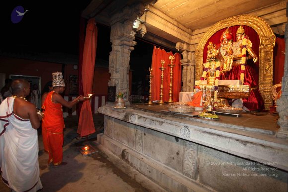 20101121_Photo_1140_IMG_9945_CMP_WM