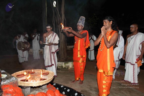 20101121_Photo_1141_IMG_9972_CMP_WM