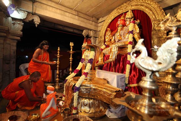 20101121_Photo_1149_IMG_9894_CMP_WM