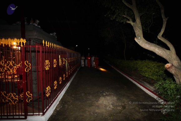 20101121_Photo_1154_IMG_9954_CMP_WM