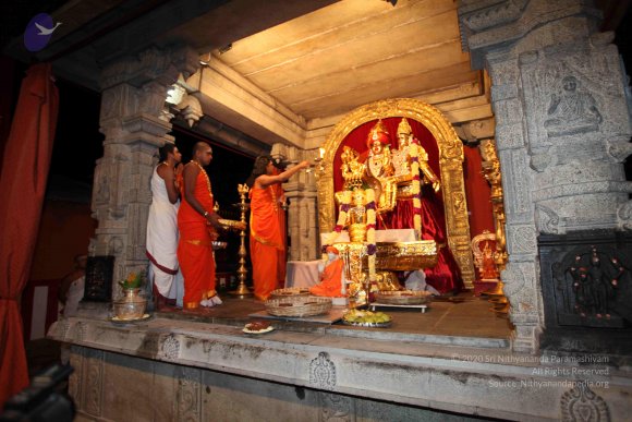 20101121_Photo_1170_IMG_9827_CMP_WM