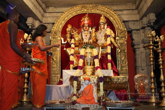 20101121_Photo_1171_IMG_9836_CMP_WM