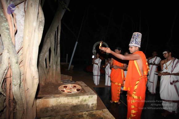 20101121_Photo_1178_IMG_9988_CMP_WM