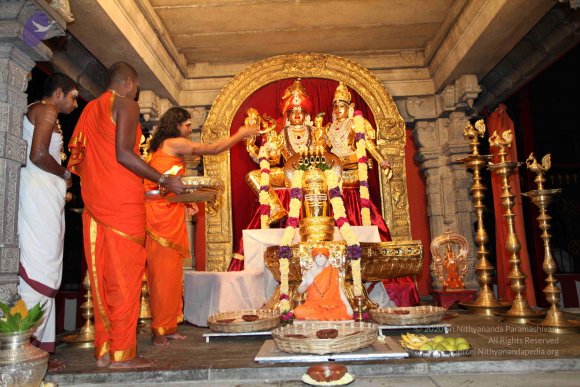 20101121_Photo_1180_IMG_9848_CMP_WM