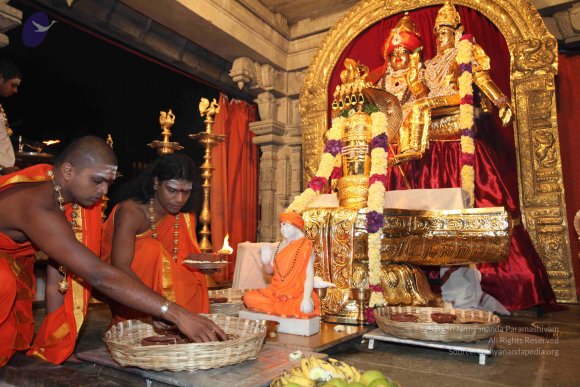 20101121_Photo_1181_IMG_9880_CMP_WM