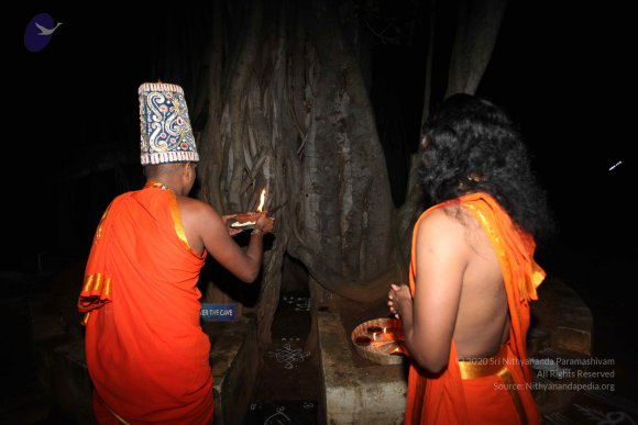 20101121_Photo_1182_IMG_9994_CMP_WM