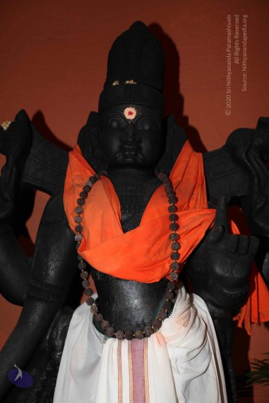 2-Pancha-Tapas_Photo_1000_IMG_0135_CMP_WM