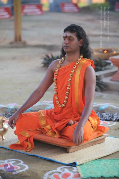 2-Pancha-Tapas_Photo_1003_IMG_0191_CMP_WM