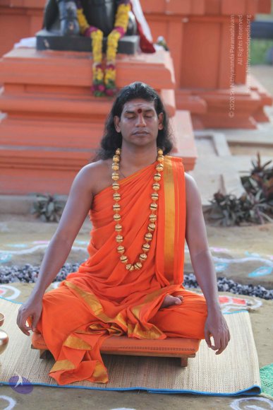 2-Pancha-Tapas_Photo_1007_IMG_0202_CMP_WM