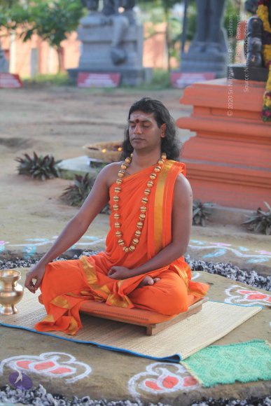 2-Pancha-Tapas_Photo_1010_IMG_0222_CMP_WM