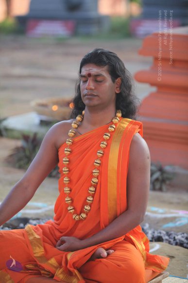 2-Pancha-Tapas_Photo_1011_IMG_0223_CMP_WM