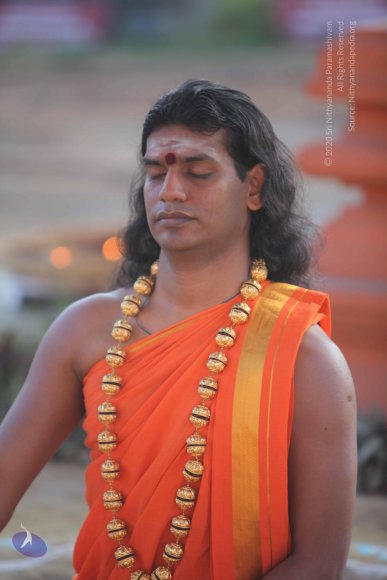 2-Pancha-Tapas_Photo_1012_IMG_0224_CMP_WM