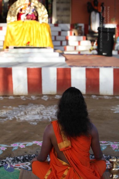 2-Pancha-Tapas_Photo_1013_IMG_0235_CMP_WM